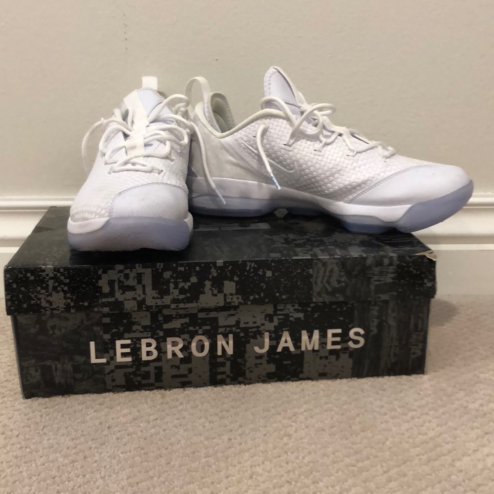 Lebron James basketball shoes